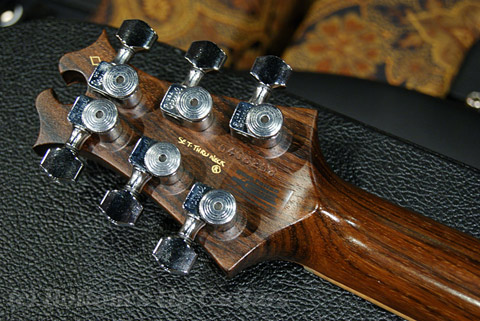 David Thomas McNaught Guitars Vintage Singlecut Rosewood Neck - Safari -