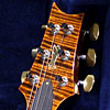 PRS Experience 2011 Special Edition Custom24 Limited