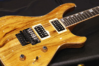 David Thomas McNaught Guitars(正規輸入品) {BUG} Phoenix Rising / FRT / Black Limba 【当社常連様特注品!!】