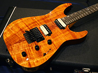 David Thomas McNaught DTM Exotic Wood Collection #8 DJ+ KoaTop MahoganyBack A.Blackwood FB Natural 日本限定モデル