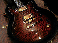 McNaught Vintage Doublecut "Tiger Eye Thinline Burst"