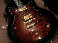 McNaught Vintage Doublecut "Tiger Eye Thinline Burst"