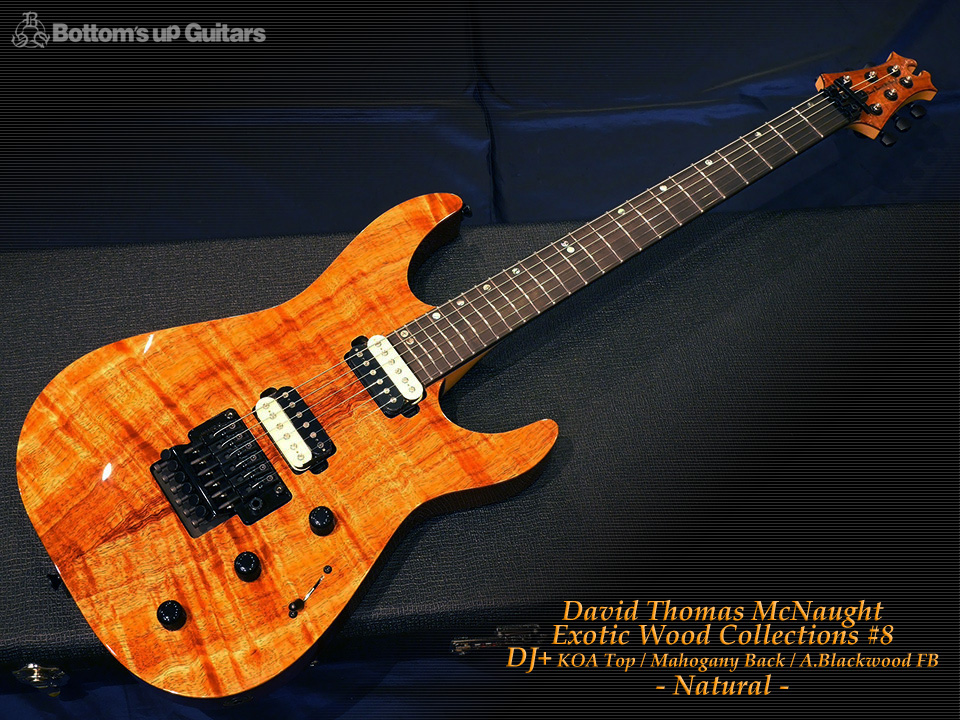 David Thomas McNaught Exotic Wood Collection #8 DJ+ KoaTop MahoganyBack A.Blackwood FB Natural