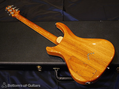 David Thomas McNaught Phoenix Rising Antique Burst DTM マクノウト