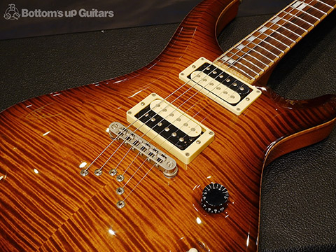 David Thomas McNaught Phoenix Rising Antique Burst DTM マクノウト