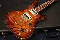 David Thomas McNaught
Phoenix Rising
-Antique Burst-