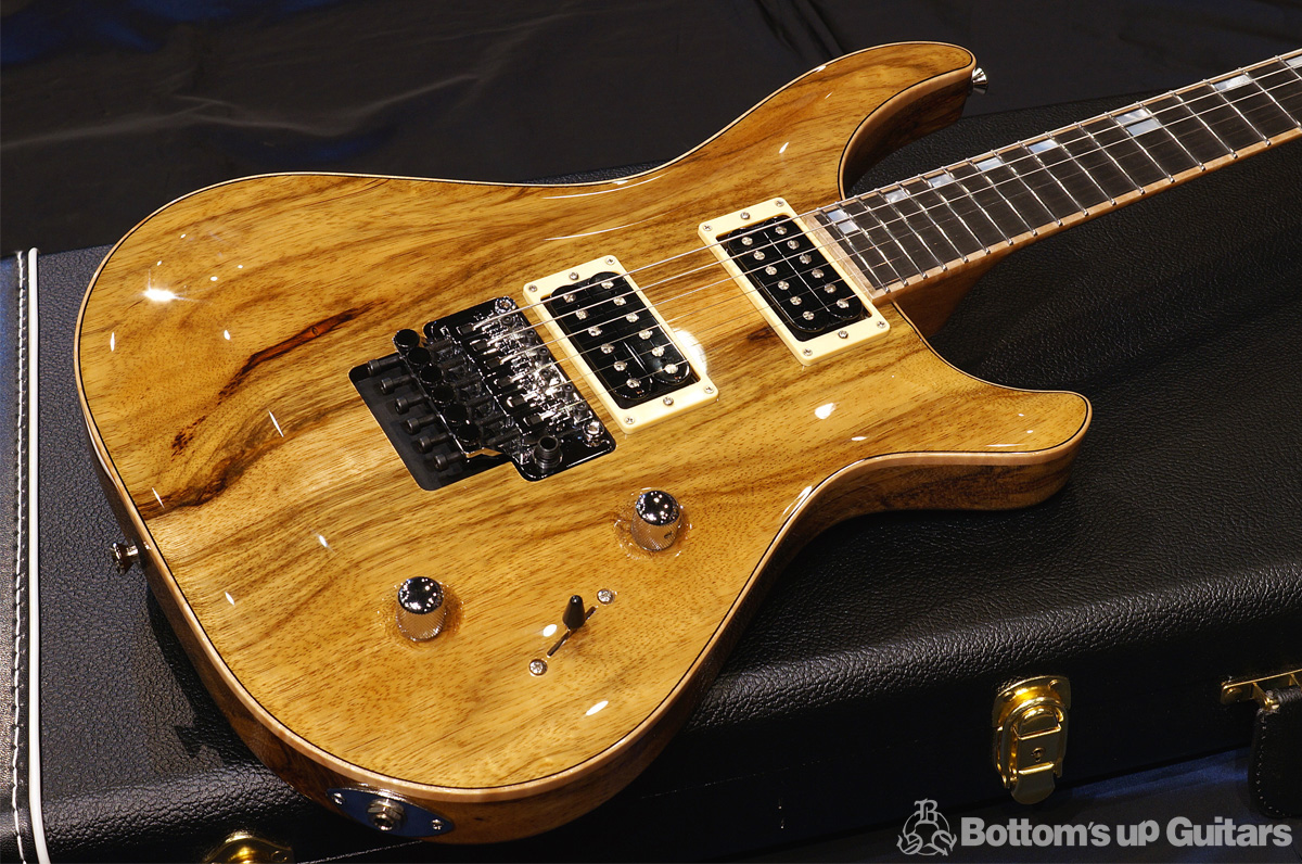 David Thomas McNaught Guitars (DTM) Phoenix Rising Black