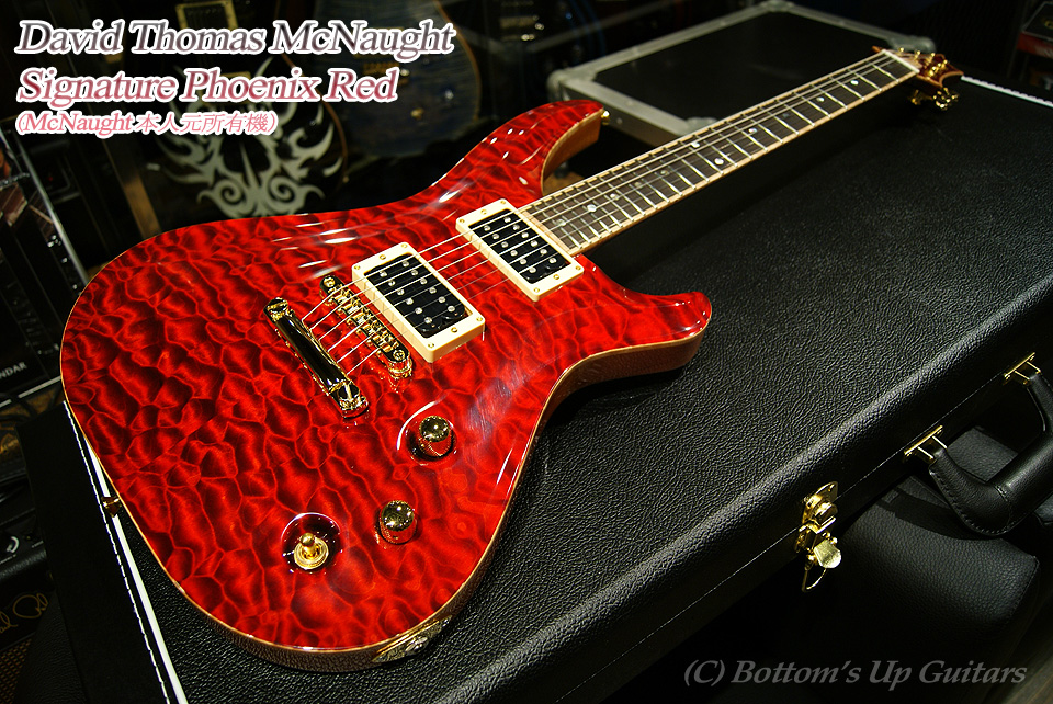 David Thomas McNaught Signature Phoenix Red (マクノウト元所有機)