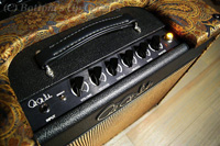 Paul Reed Smith(PRS) AMP 『DALLAS』 50w [6L6] Combo 限定仕様