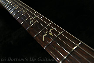 ポールリードスミス 513 Rosewood - Natural - 10TOP -  / ボトムズアップギターズ PRS New Guitar Photo Page