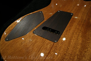 ポールリードスミス 513 Rosewood - Natural - 10TOP -  / ボトムズアップギターズ PRS New Guitar Photo Page