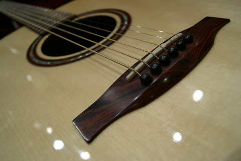 2010 Winter NAMM Show 出展モデル！ ポールリードスミスアコースティック PRS Tonare Grand Custom Model / Cocobolo Side and Back /