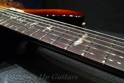 PRS Guitars Paul Reed Smith 20th TRC McCarty Hollowbody II - Birds & Piezo - ワンオーナー超美品！正規品・付属品完備