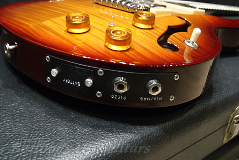 PRS Guitars Paul Reed Smith 20th TRC McCarty Hollowbody II - Birds & Piezo - ワンオーナー超美品！正規品・付属品完備