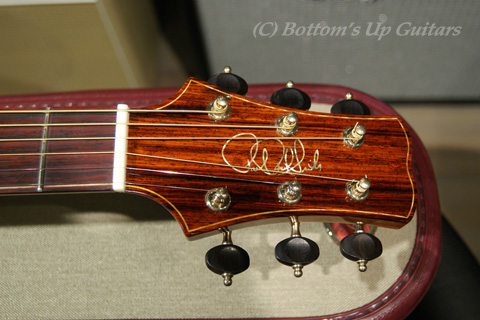 Paul Reed Smith (PRS) Angelus Cutaway