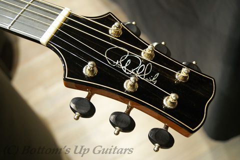 Paul Reed Smith (PRS) Tonare Grand w/piezo 【 2010 NAMMモデル 】