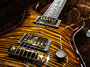 PS#2410 McCarty -Rosewood Limited- Tree of Life inlay