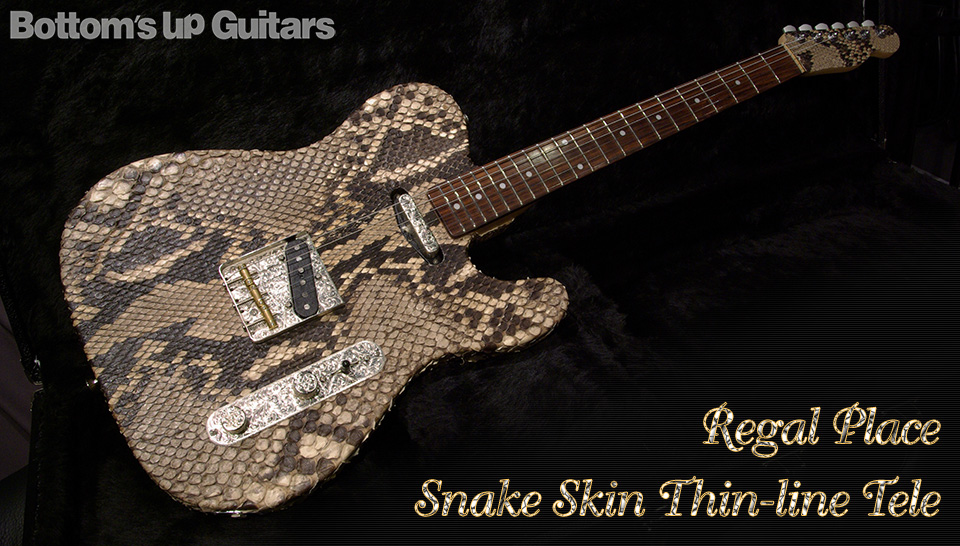 Regal Place / Snake Skin Thinline Tele