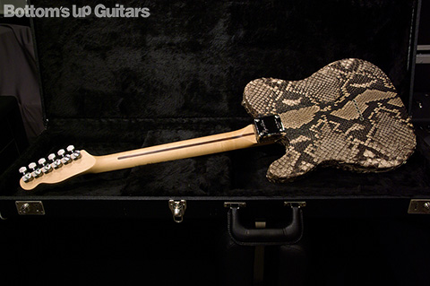 Regal Place / Snake Skin Thinline Tele