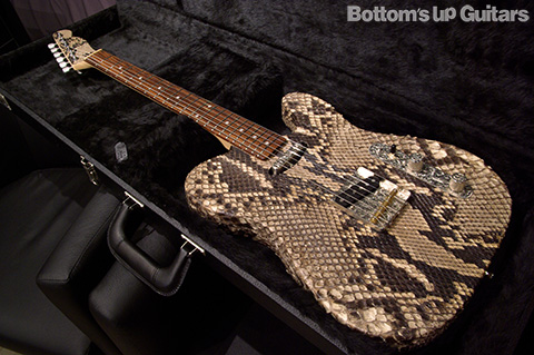 Regal Place / Snake Skin Thinline Tele