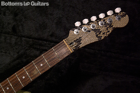 Regal Place / Snake Skin Thinline Tele