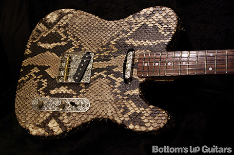 Regal Place / Snake Skin Thinline Tele