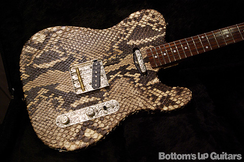 Regal Place / Snake Skin Thinline Tele