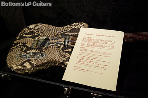 Regal Place / Snake Skin Thinline Tele