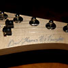 DTM Guitars The D Series "DC" Trans White