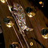 Private Stock Brazilian Rosewood Neck Custom24 -Raspberry-