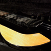 James Tyler Ultimate Weapon "Black" Dann Huff 所有機