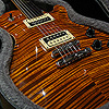 David Thomas McNaught Vintage SingleCut "Tiger Eye"