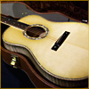 2009 NAMM Private Stock #1747 Chesapeake Acoustic "Potomac" - Glacier blue smoked burst -