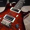 PRS Tremonti Signature 2010 Experience Limited - Orange Tiger Contour Burst -