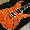 SCHECTER Diamond Series C-1 ELITE