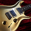 2012 Custom24 Signature Head Special Built -Gold Top-