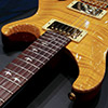 PRS Custom22 Trem Artist Package - Vintage Yellow - 【20th Anniversary】