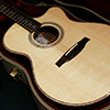 Private Stock #2614 Acoustic Angelus Cutaway 【Bearclaw Spruce, Cocobolo Side & Back】