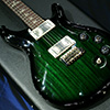 PRS DGT Standard Bird Inlay -Green Burst- 【限定オールマホガニーDGT・国内一本のみの入荷!!】