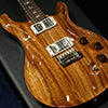 PRS DGT Standard Bird Inlay -Natural- 【限定生産オールマホガニー・リミテッドDGT】