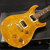 PRS Paul Reed Smith 20th Anniversary Cu22STP Artist Package BZF -Amber- Adjustable STP 3way Mod