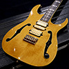 Ibanez PGM 10th Paul Gilbert Signature Limited 50