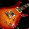 Paul Reed Smith(PRS) {BUG} 1999 BRW McCarty 10top Bird 7x/250 【国内未入荷品!ハカランダネックマッカーティ】