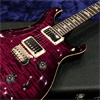 Paul Reed Smith(PRS) {BUG} 特別商談会 Hand Select Custom24 w/ Dragon2 PUs - Angry Larry - ◆B.U.G. Mod.◆