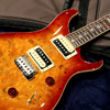 Paul Reed Smith(PRS)  {BUG} SE Custom 24 Laurel Burl Limited 【バールトップがかっこいい限定モデル!】