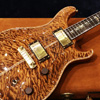 Private Stock 2005 Private Stock #863 McCarty - Copperhead - 【The Art of PRS写真集掲載個体】