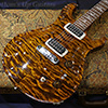 PRS 2014 Paul's Guitar Quilt Brazilian Rosewood FingerBoard -Black Gold-