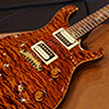 >PS#1715 Custom24 STP / BRW neck & FB / Burnt Orange