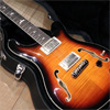 Paul Reed Smith(PRS)  {BUG} SE Custom 24 Laurel Burl Limited 【バールトップがかっこいい限定モデル!】