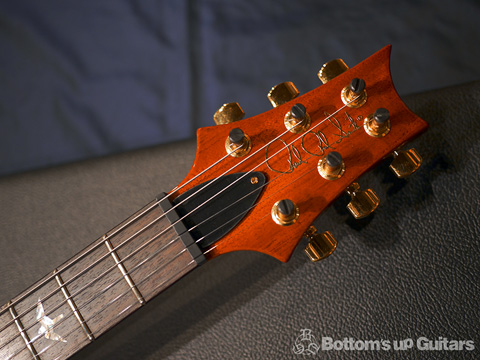 PRS Custom22 Trem "Semi Hollow Limited 10Top  - Matteo Mist -